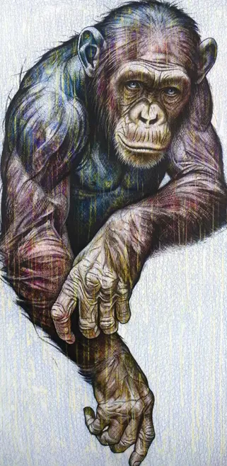 Homo Novus XII, Rémi Planche