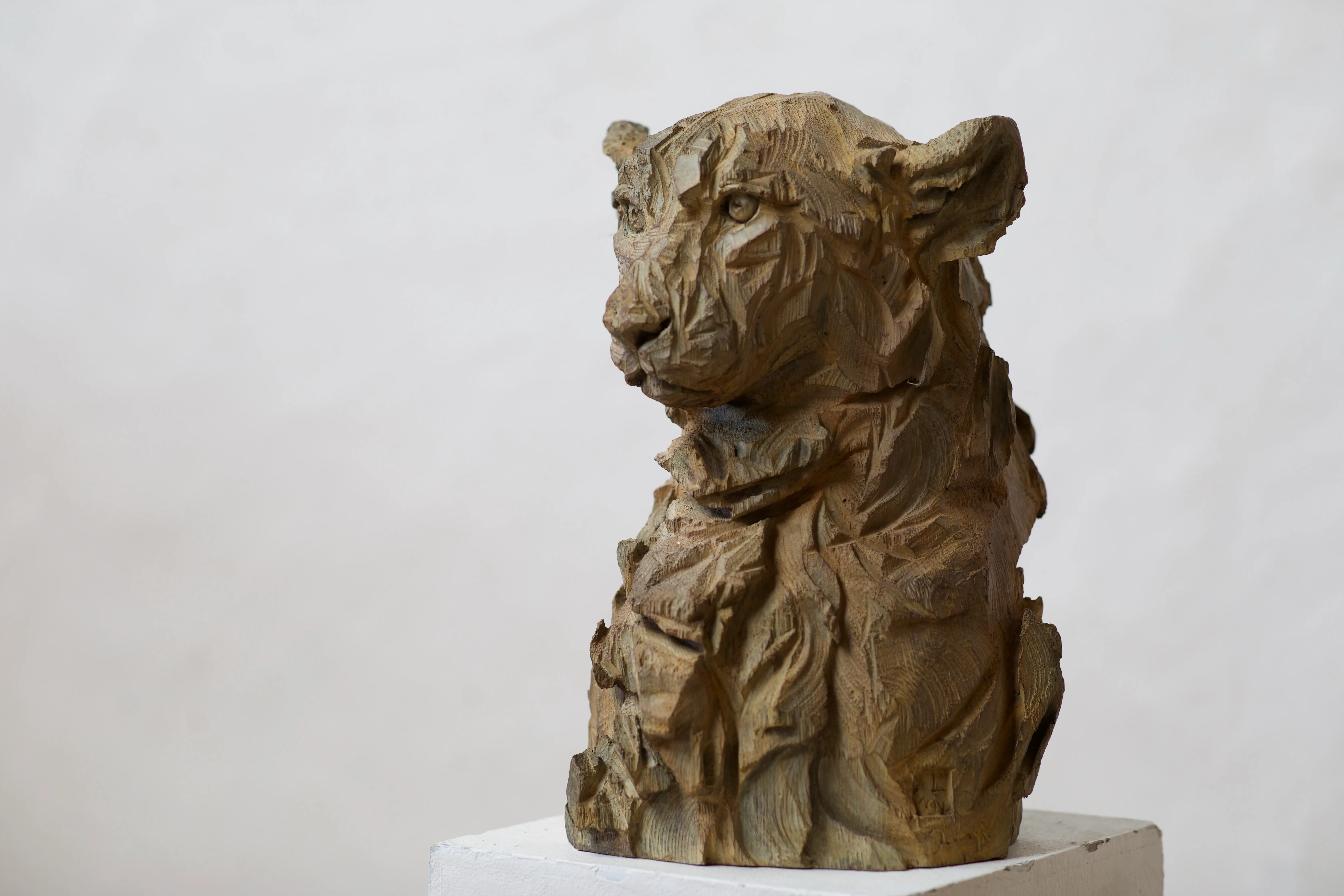 Buste de guépard, Jürgen Lingl