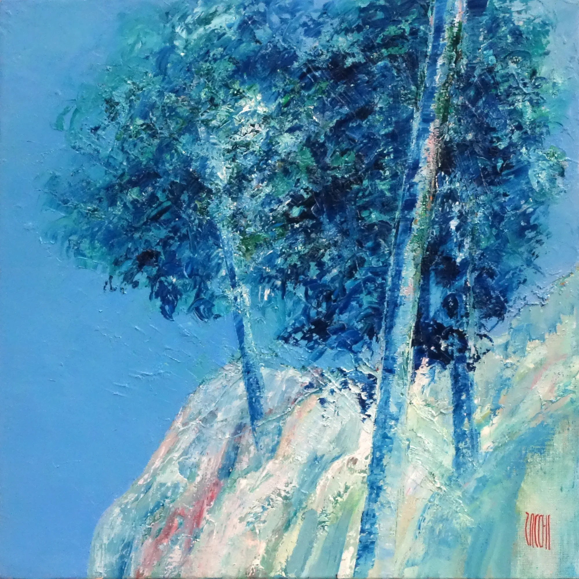 Le temps qui passe, Jean-Marie Zacchi