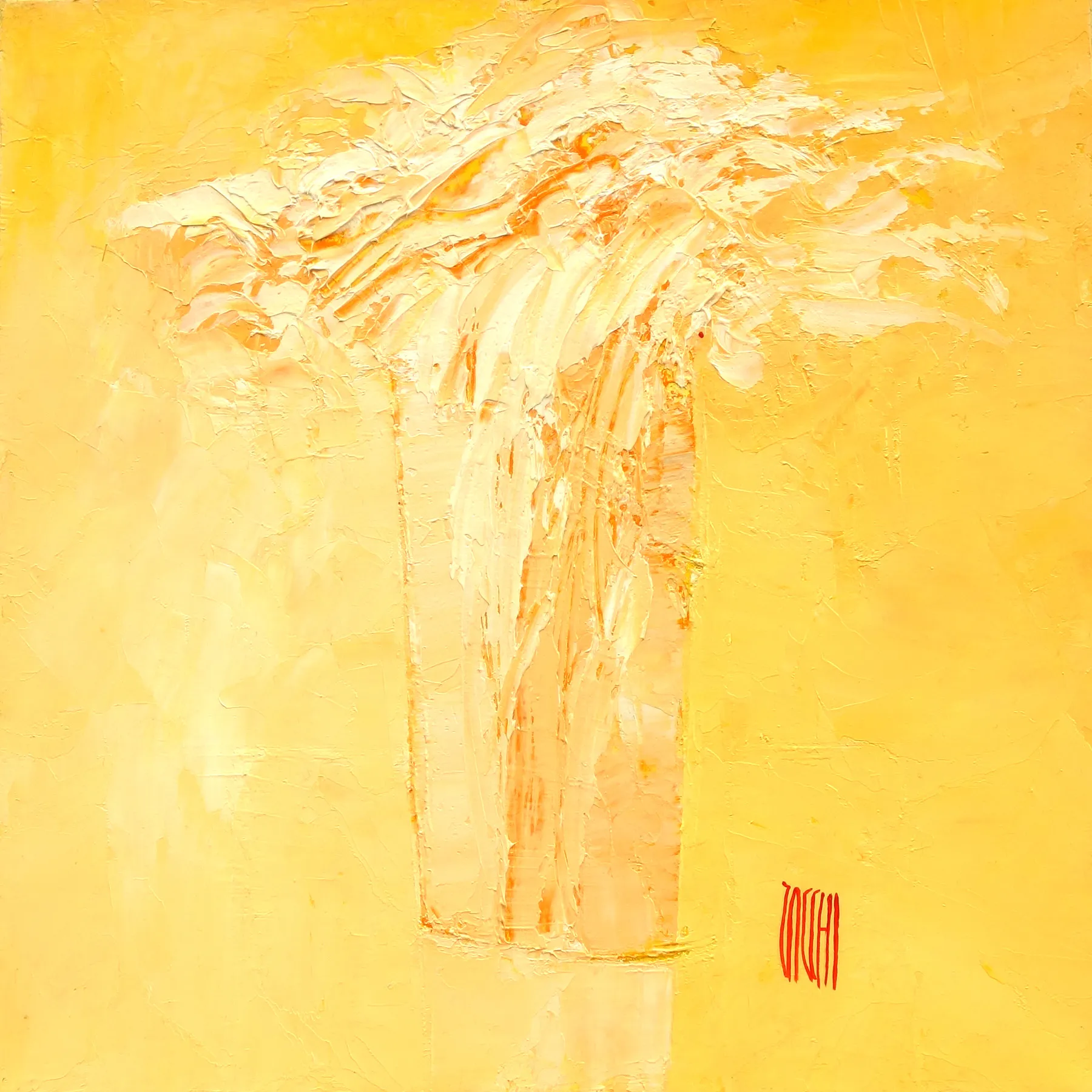 Vivre au soleil, Jean-Marie Zacchi