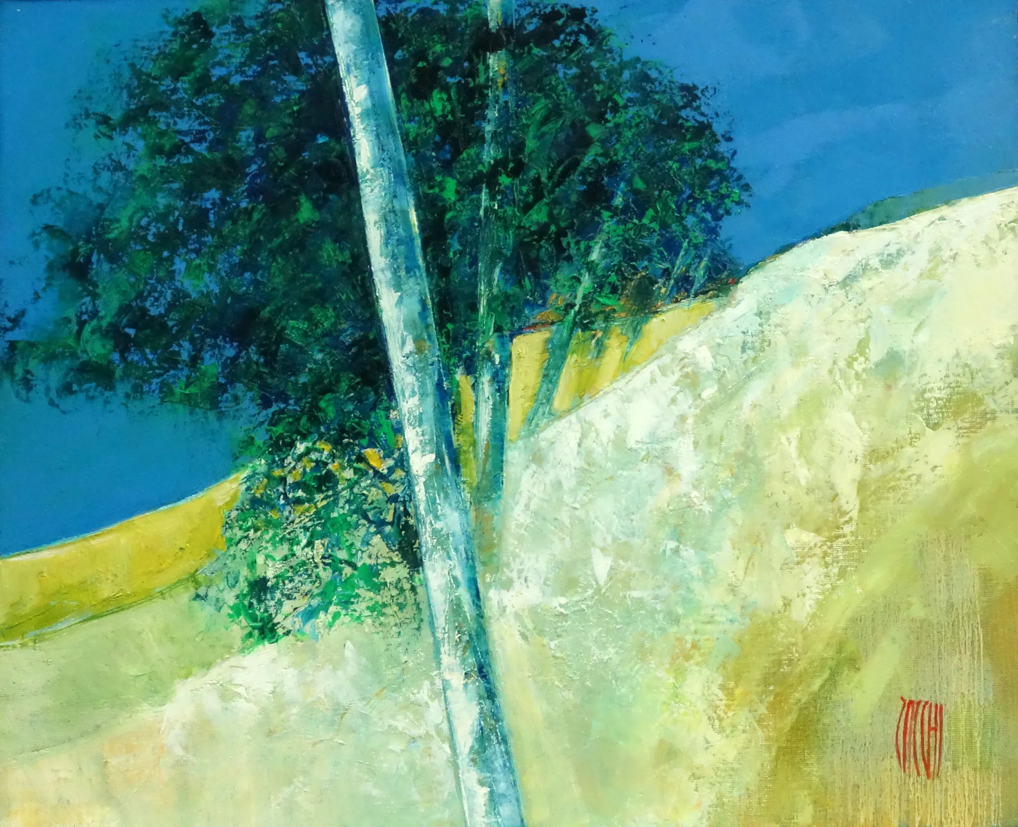 Paysage de silence, Jean-Marie Zacchi