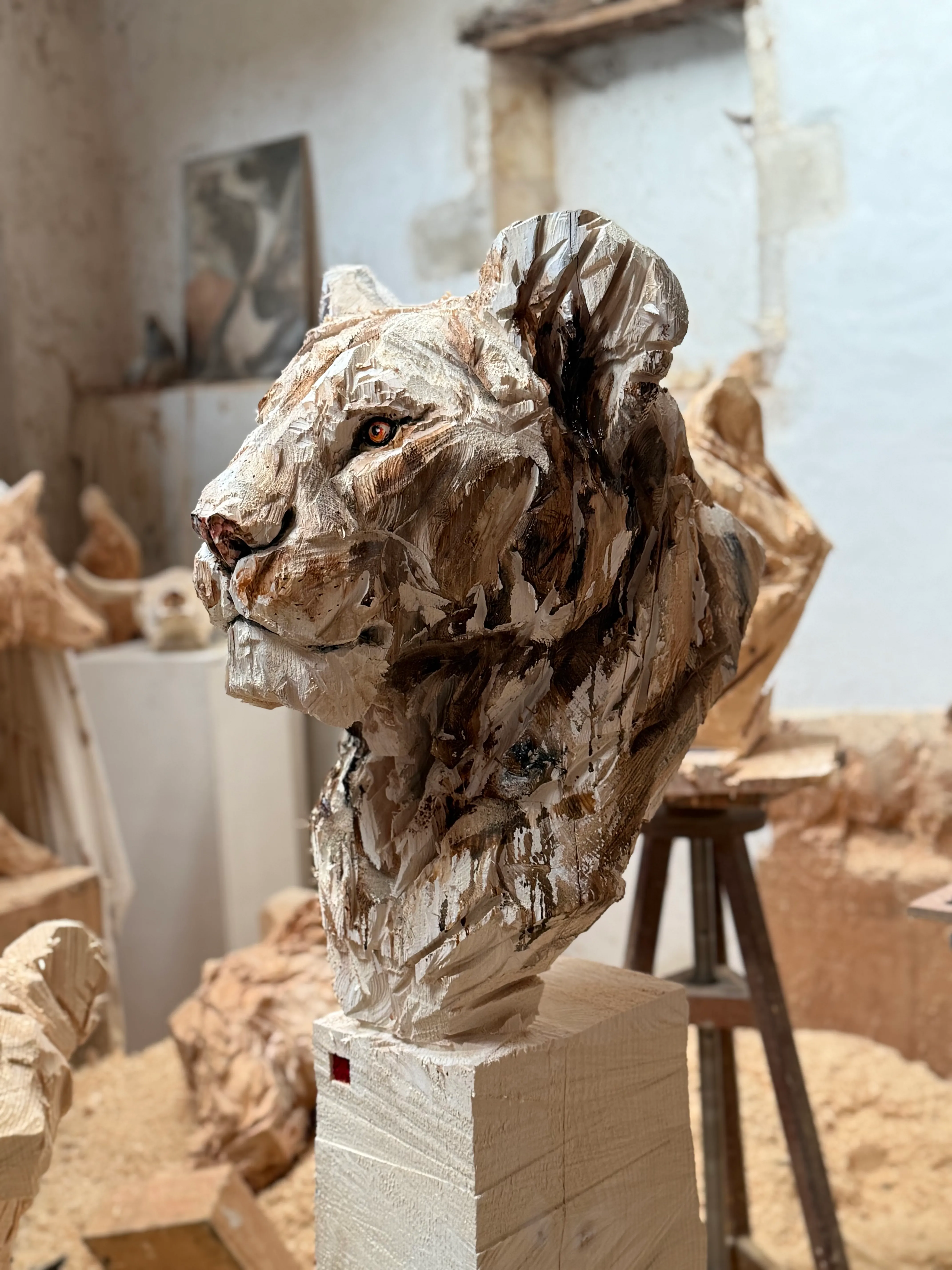 Lionne, Jürgen Lingl