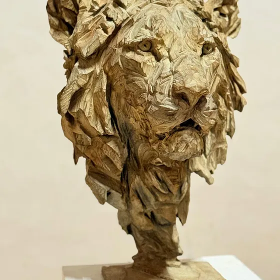 Œuvre de Jürgen Lingl