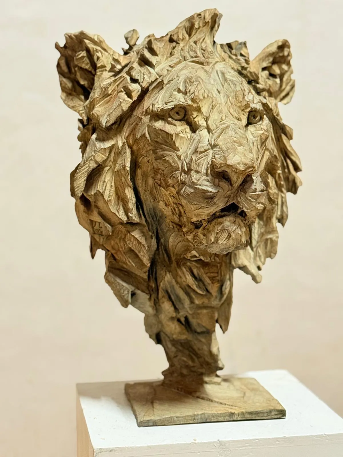 Kimba, Jürgen Lingl